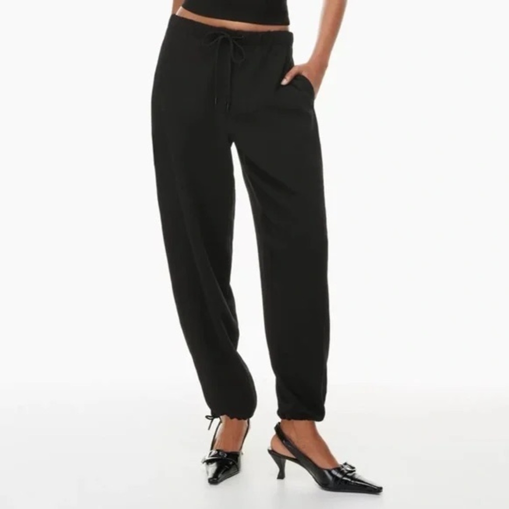 Aritzia Wilfred Marne Pant